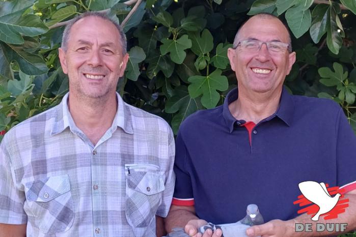 De gebroeders Scimé winnen internationaal Agen bij de jaarse duiven. De gebroeders Scimé winnen internationaal Agen bij de jaarse duiven.
