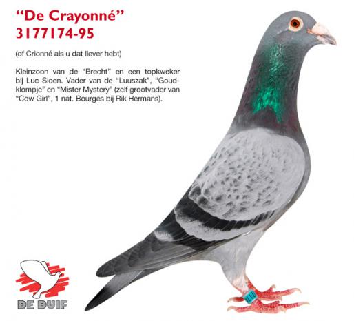 3177174-95 ''Crayonne'' 3177174-95 Crayonne