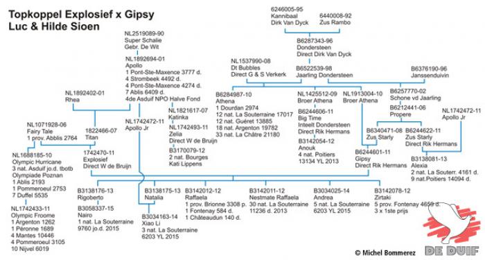 LUC SIOEN & HILDE VANOVERSCHELDE – 1, 2, 4, 5, 6 en 7 Nat. La Souterraine I & II in 2015 Bild 7