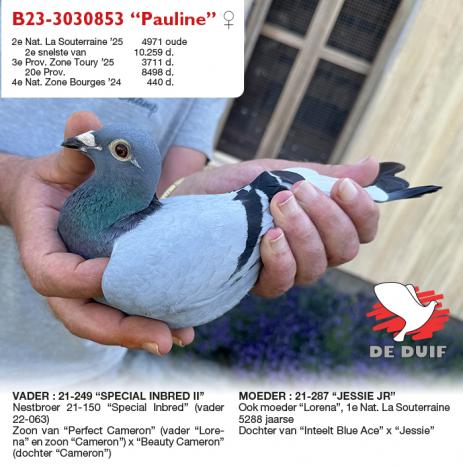 B23-3030853 “Pauline”