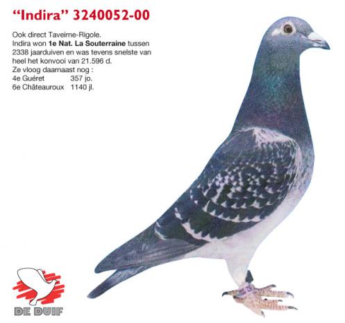 B00-3240052 ''Indira'' B00-3240052 Indira