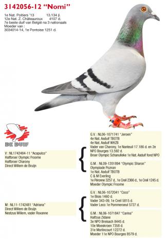 B12-3142056 ''Nomi'' B12-3142056 ''Nomi''