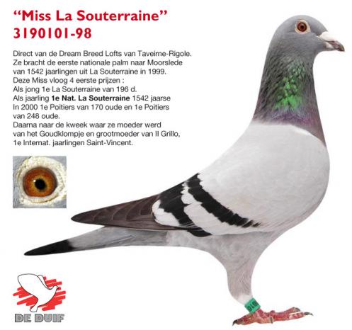 B98-3190101 ''MissLaSouterraine'' B98-3190101 ''MissLaSouterraine''