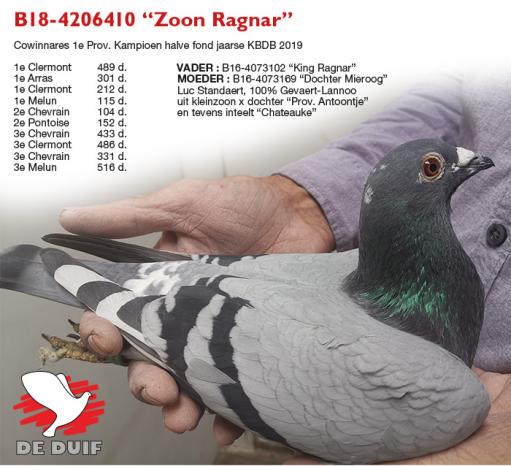 B18-4206410 “Zoon Ragnar”
