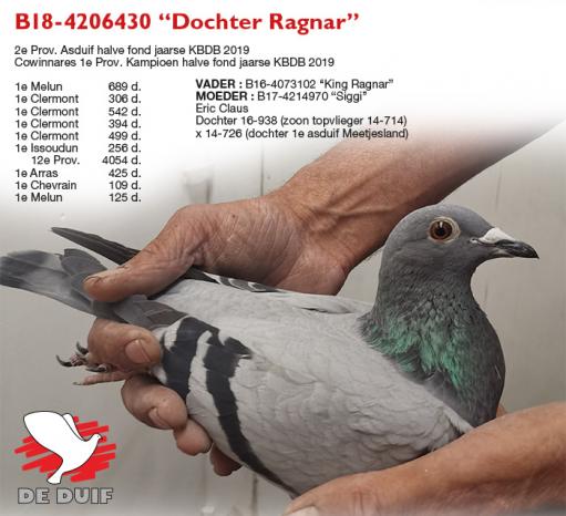 B18-4206430 “Dochter Ragnar”
