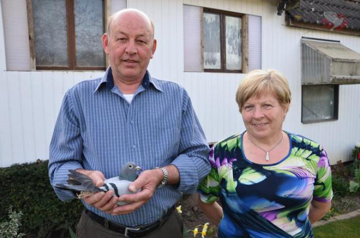 Met “Magda” beschikt de tandem Swinnen-Vanhove over een fondduivin van grote klasse.