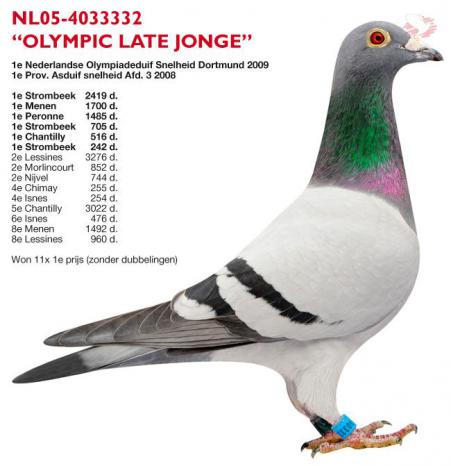 NL05-4033332 Olympic Late Jonge