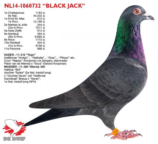 NL14-1060732 "Black Jack"