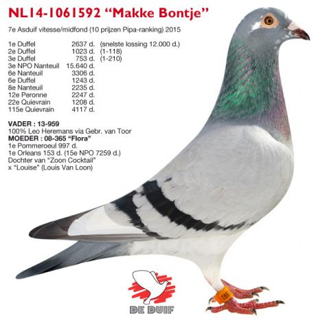 NL14-1061592 "Makke Bontje"