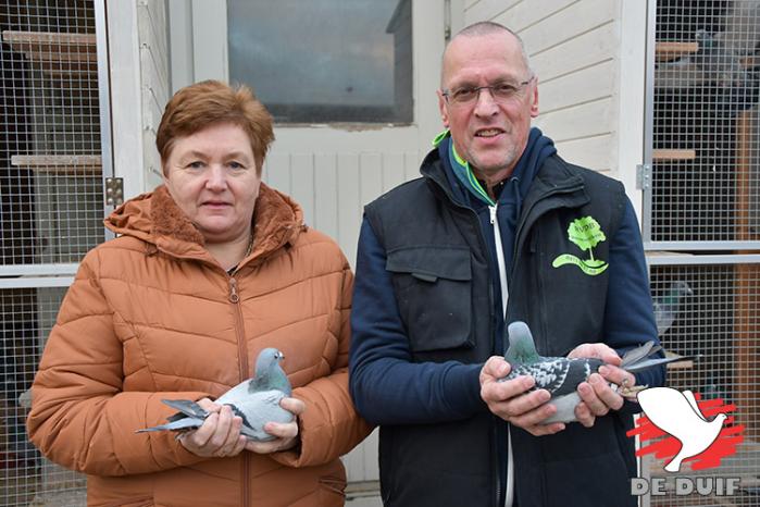 Nancy en Kurt Van den Bruel bekroonden het seizoen 2022 met de nationale zege op Argenton en de 1e Nat. Asduif grote halve fond jonge duiven KBDB.
