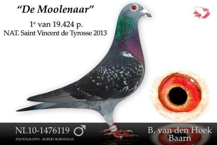 NL10-1476119 De Moolenaar