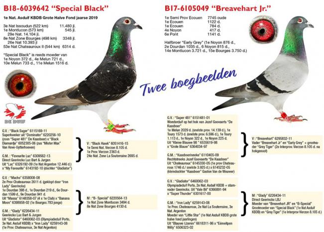 B18-6039642 “Special Black” en B17-6105049 “Breavehart Jr.”