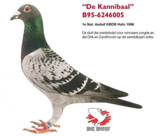 B95-6246005 KANNIBAAL 