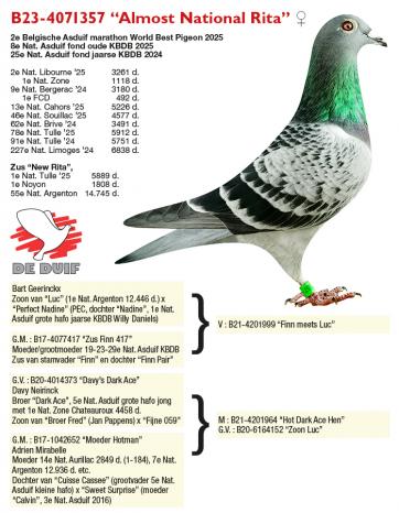 B23-4071357 “Almost National Rita” B23-4071357 “Almost National Rita”