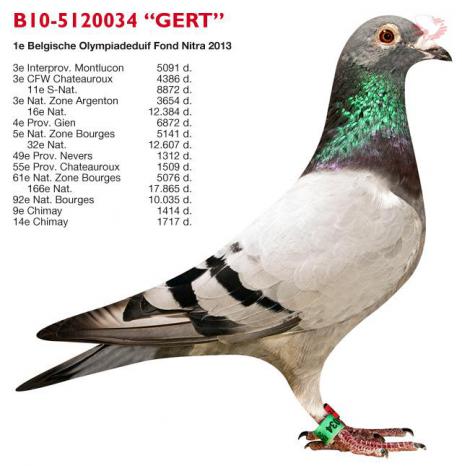B10-5120034 Gert