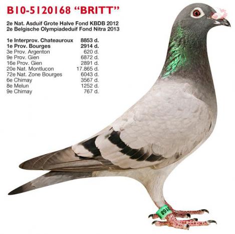 B10-5120168 Britt