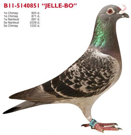 B11-5140851 Jelle-Bo