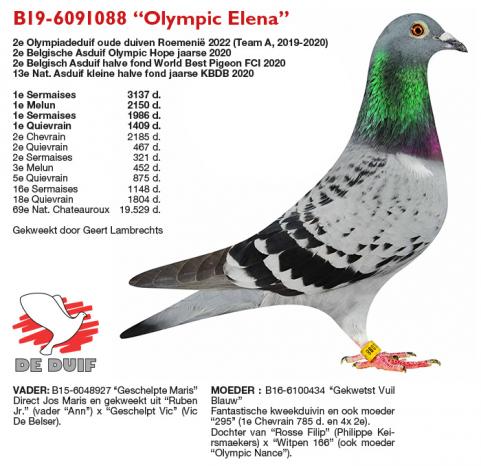 B19-6091088 “Olympic Elena”