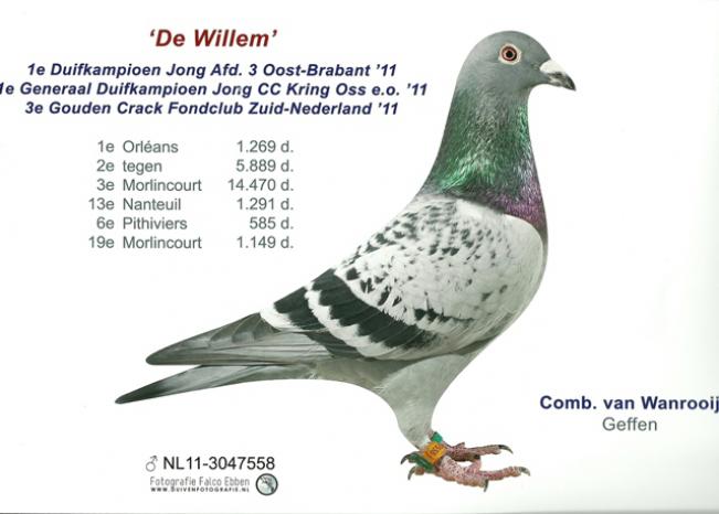 De Willem