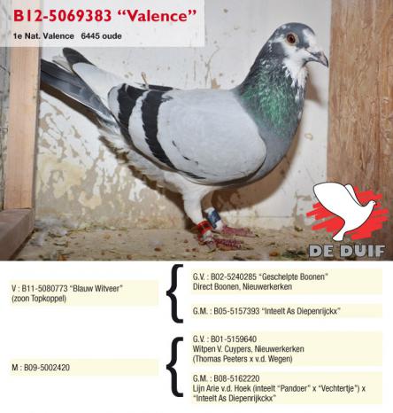 B12-5069383 Valence