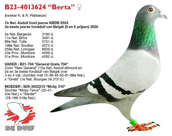 B23-4013624 “Berta”