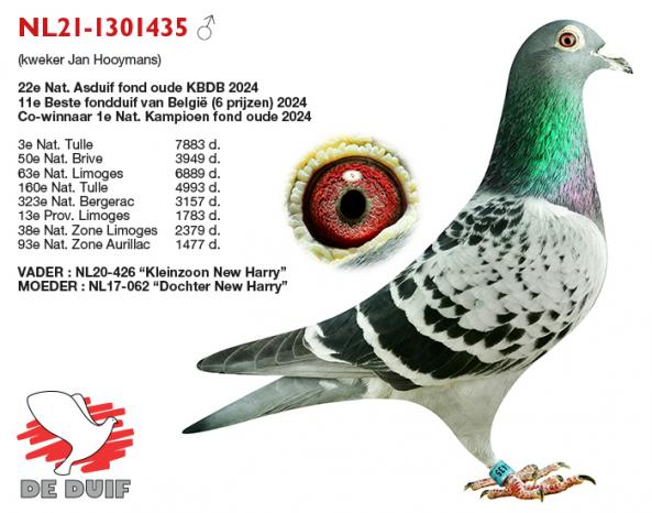 NL21-1301435