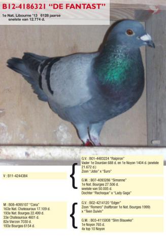 B12-4186321 De Fantast