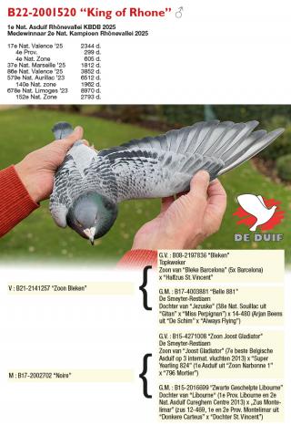 B22-2001520 “King of Rhone”