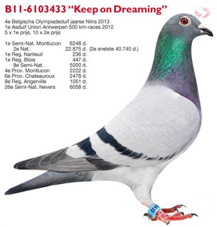 B11-6103433 Keep on Dreaming