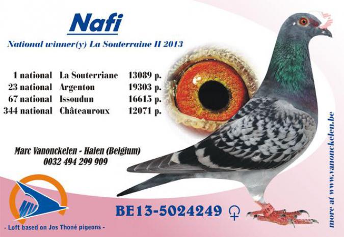 B13-5024249 Nafi