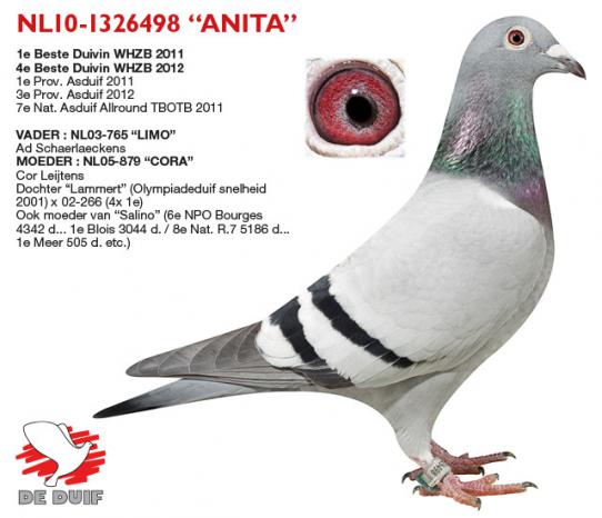 NL10-1326498 "Anita"