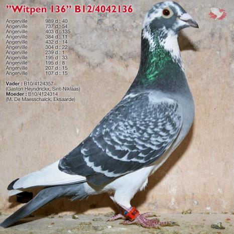 Witpen 136