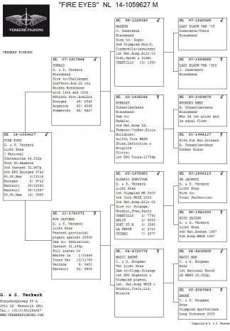 Pedigree van NL14-1059627 "Fire Eyes"