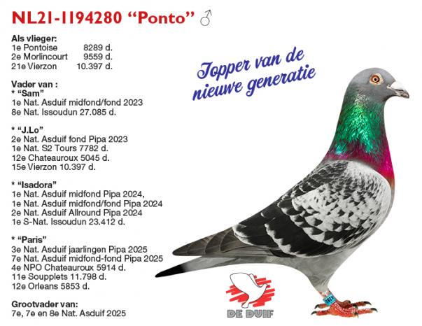 NL21-1194280 “Ponto”