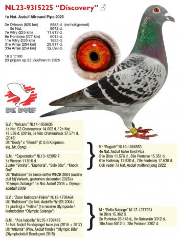NL23-9315225 “Discovery”