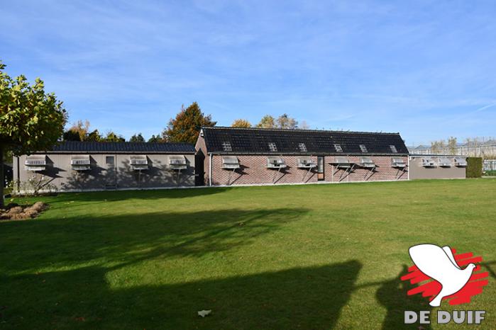 De knappe hokken in Ingelmunster: 12 m tuinhok, 18 m gemetst hok en 10 m tuinhok.