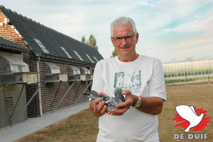 Joel Verschoot wint Angoulême tegen 4535 oude duiven.