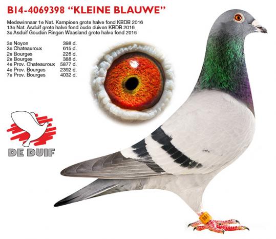 BE14-4069398 "Kleine Blauwe"
