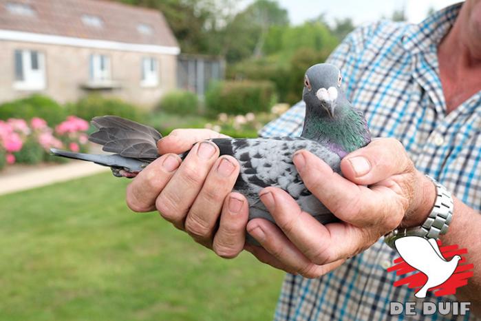 De winnaar B16-6074407.