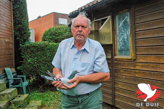 Roger Volkaerts won Chateauroux bij de oude en had de snelste van alle 12.814 duiven.