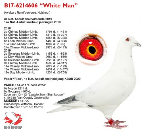 B17-6214606 “White Man”