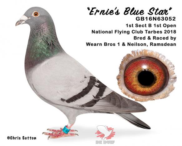 GB16N63052 “Ernie’s Blue Star”