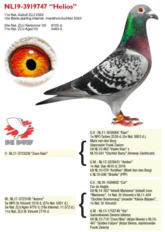 NL19-3919747 “Helios”
