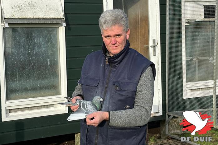  Harold Zwiers rijgt kopprijzen, (nationale) overwinningen en asduiven aaneen de laatste jaren. Hoogtepunt van 2023 was zonder twijfel 2e Internat. Perpginan!