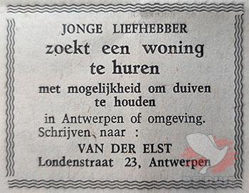 Jonge liefhebber zoekt woning om te huren.