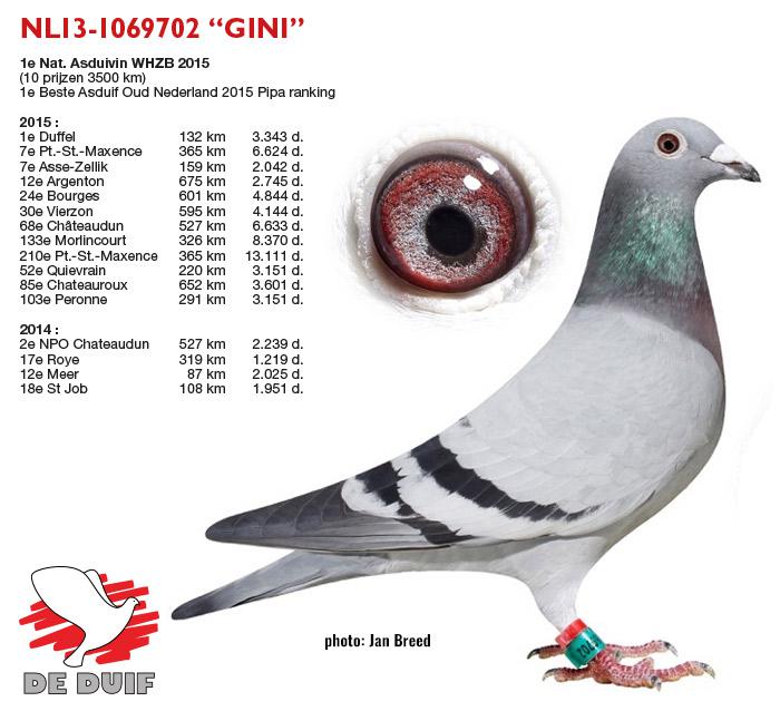 NL13-1069702 "Gini"