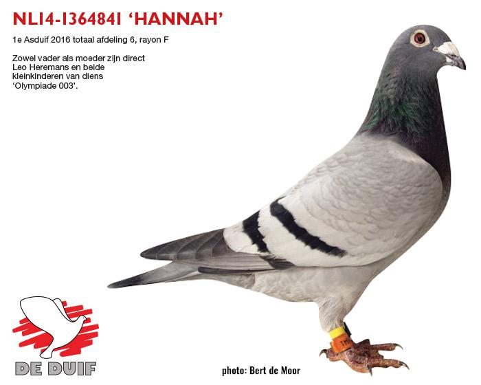 NL14-1364841 "Hannah"