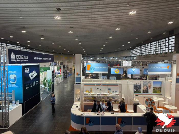 de beurs is amper 1 hal groot. de beurs is amper 1 hal groot.