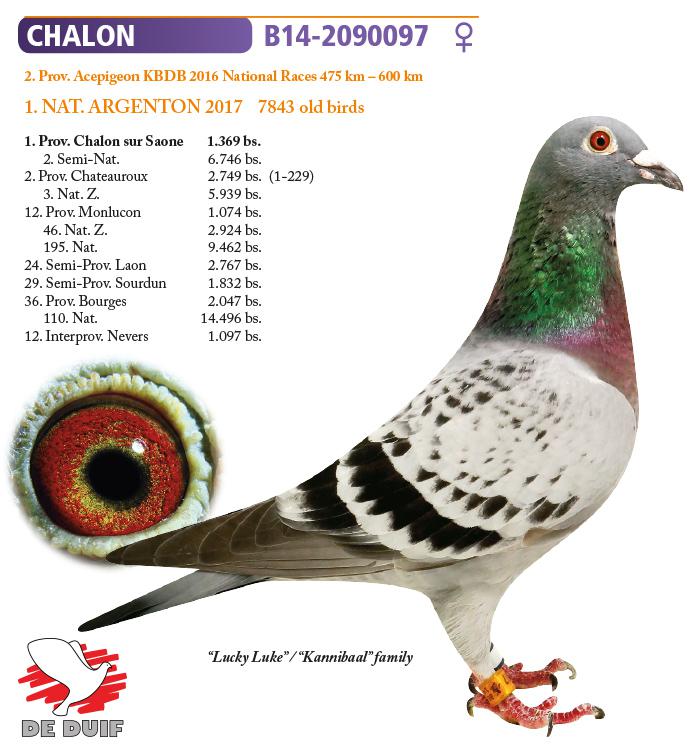 BE14-2090097 "Chalon"