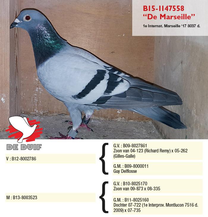 B15-1147558 "De Marseille"
